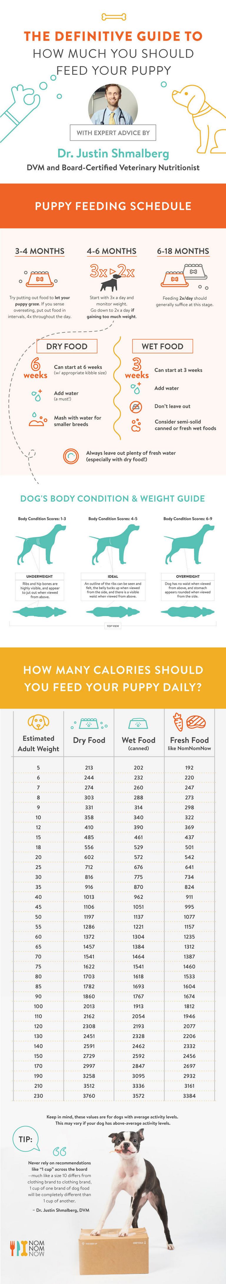 American Bulldog Feeding Chart
