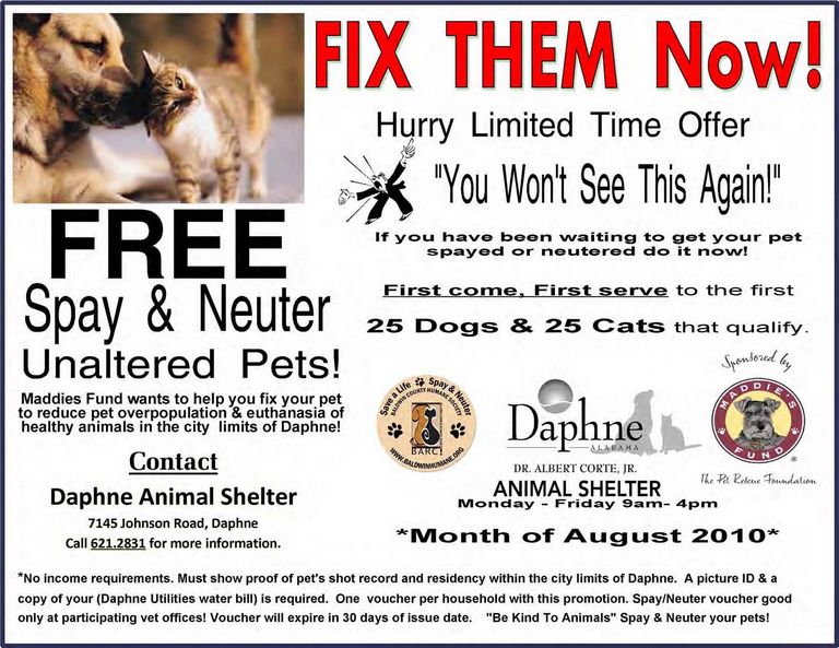 Animal Shelter Daphne Al