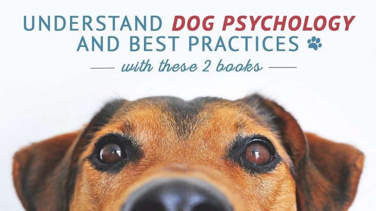 Best Dog Psychology Books