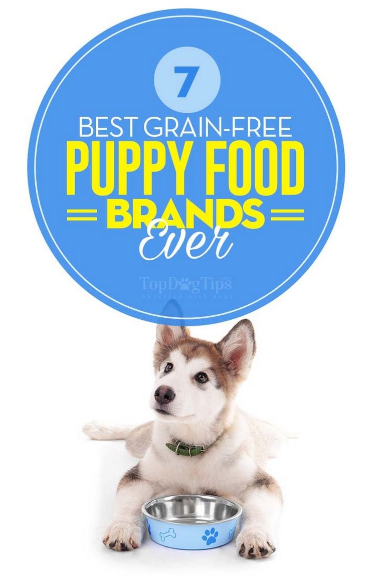 Best Grain Free Puppy Food