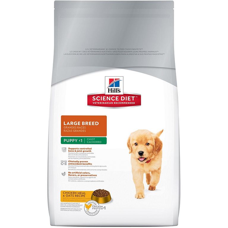 Best Puppy Food For Large Breeds