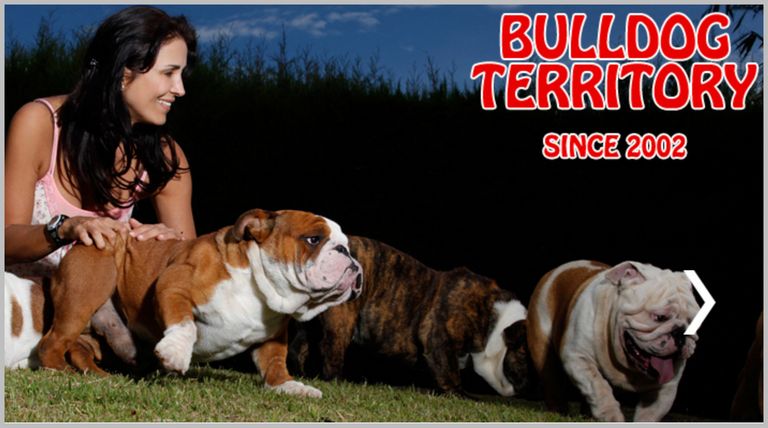 Bulldog Territory