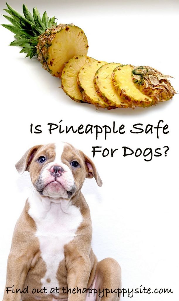 Can Dogs Eat Dried Pineapple