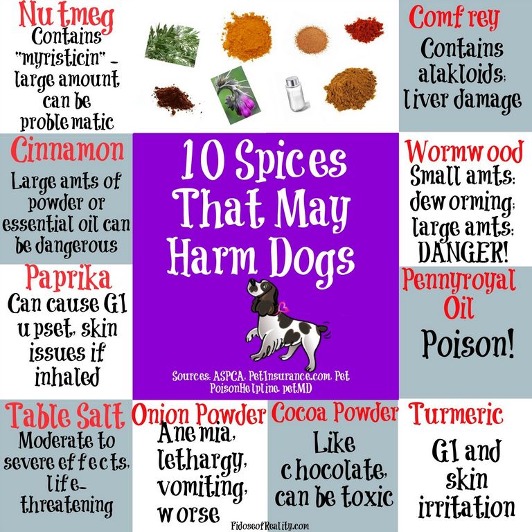 Can Dogs Eat Saffron