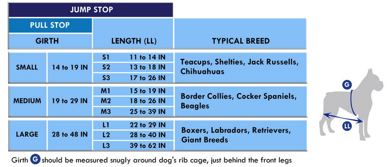 Cane Corso Growth Chart Pounds Top Dog Information