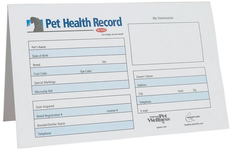 Cat Vaccination Record Template
