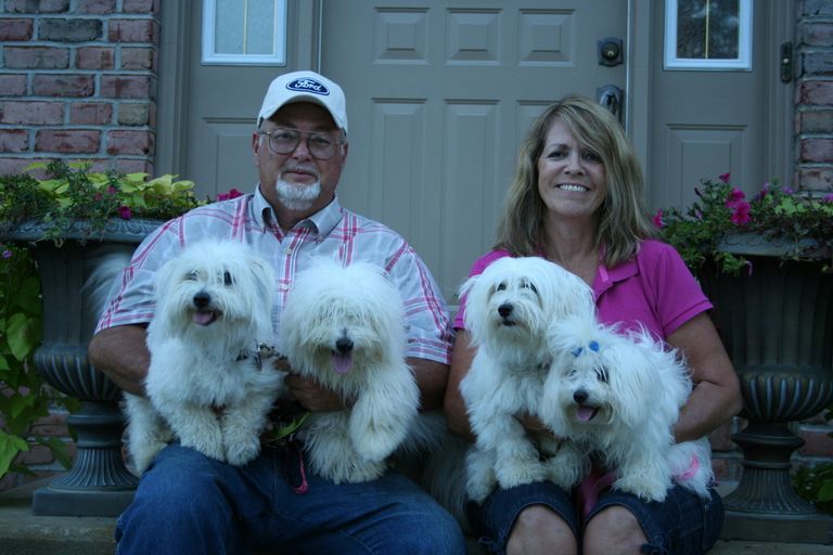 Coton De Tulear Puppies For Sale In Ohio