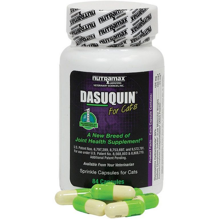 Dasuquin For Cats Top Dog Information