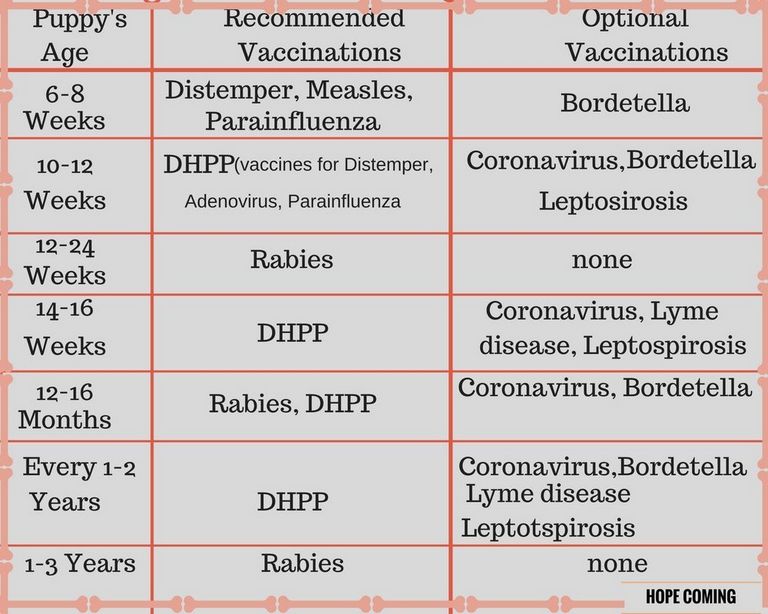 Dhpp Vaccine Schedule