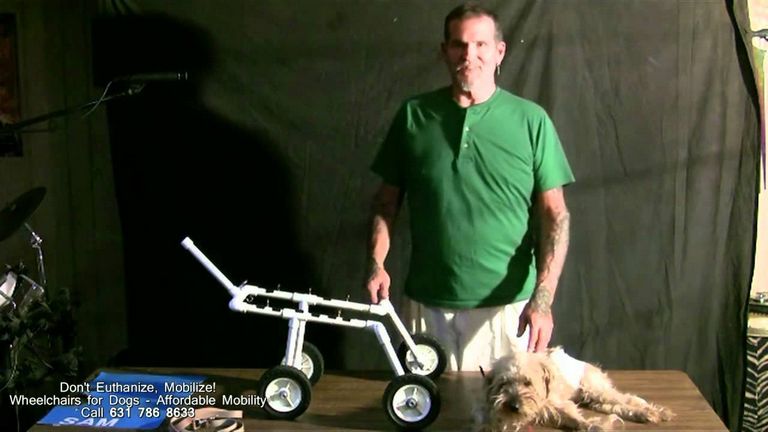 Diy Dog Wheelchair 4 Wheels