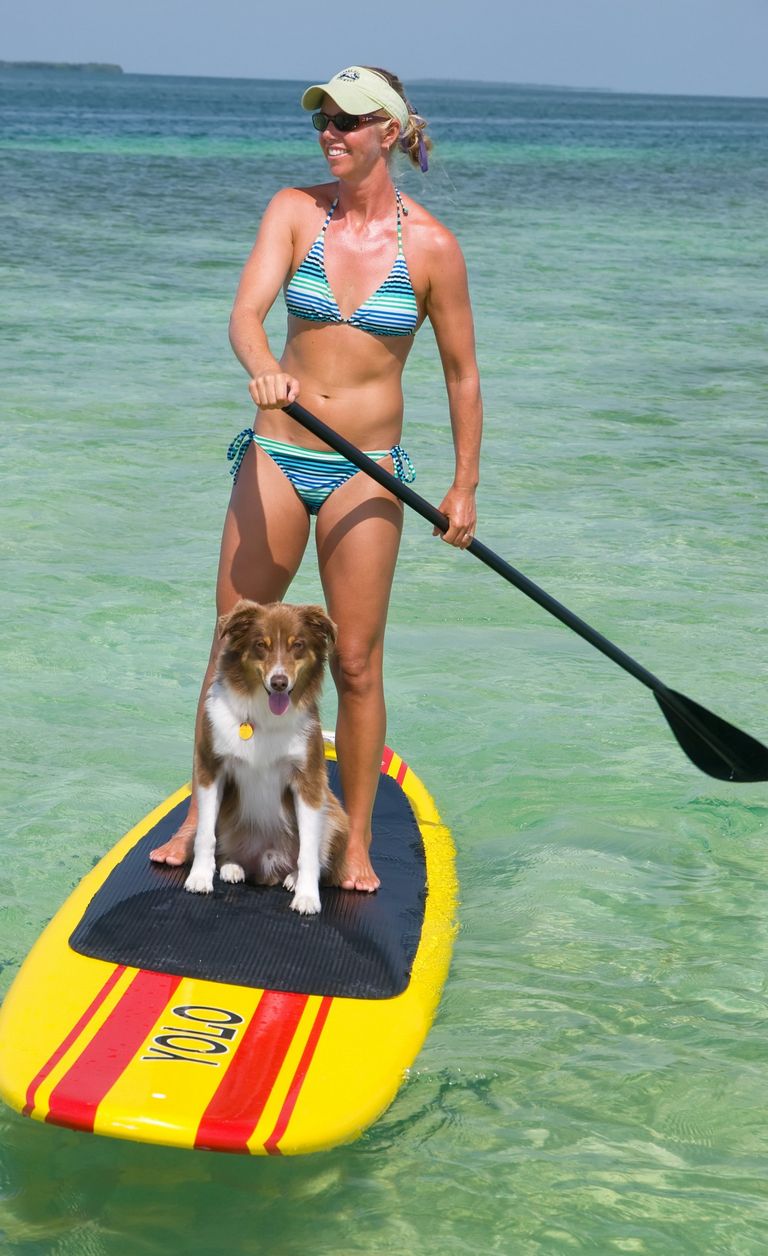 Dog Boarding Florida Keys