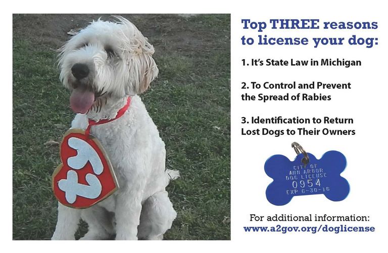 Dog License Michigan