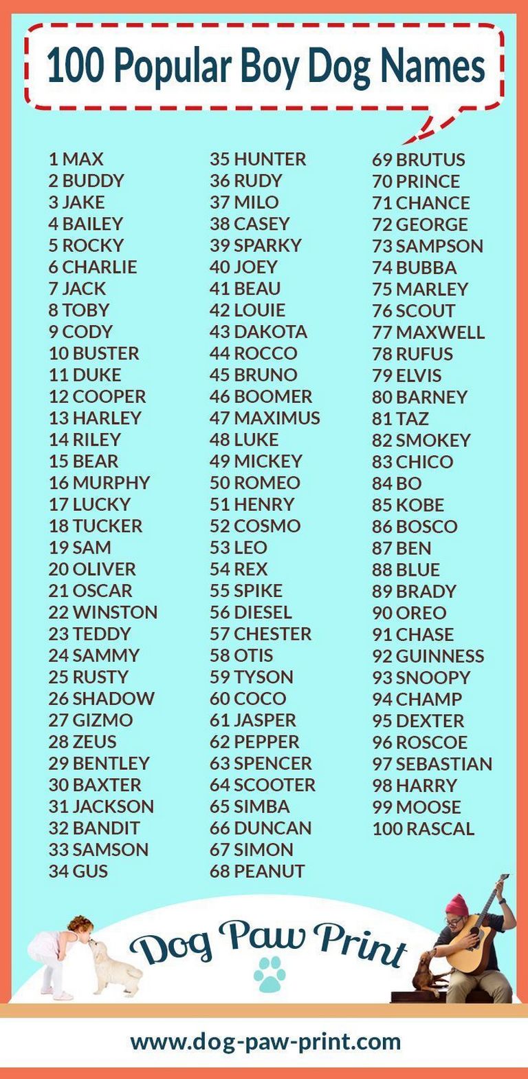 Dog Names 2018