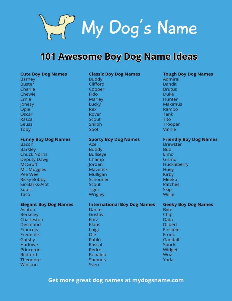 Dog Names Male
