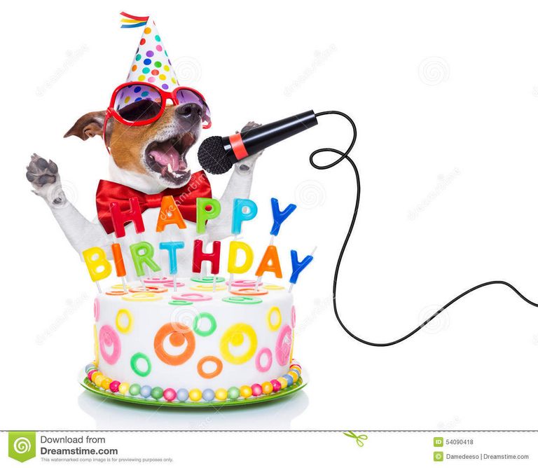 Dog Singing Happy Birthday Song Free Download
