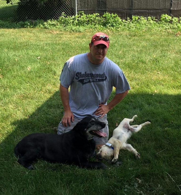 Dog Training Iowa City