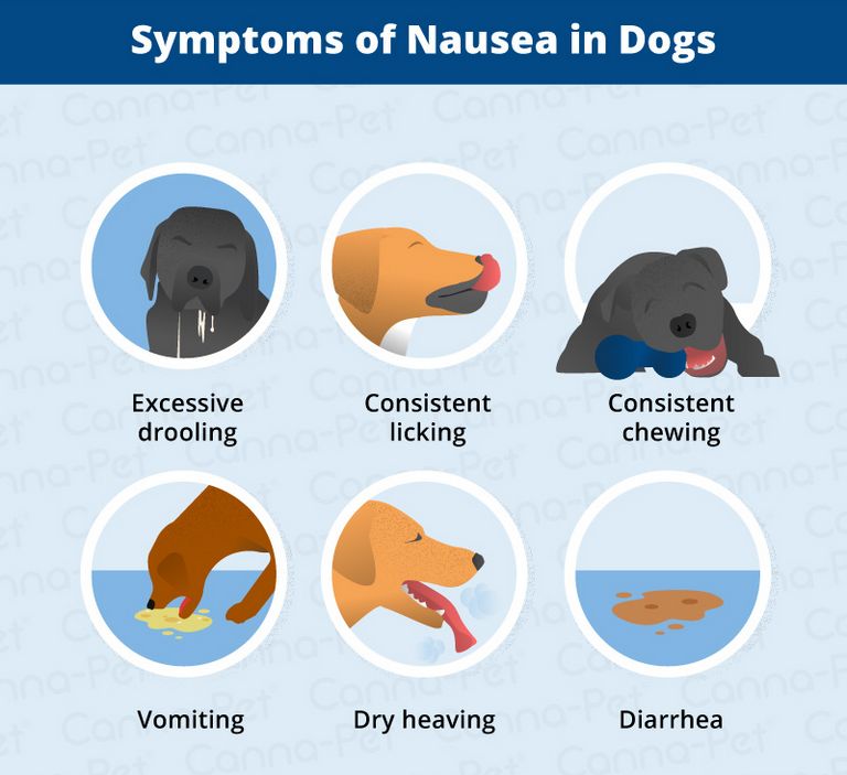 Endosorb For Dogs Vomiting
