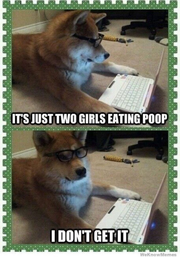 Funny Dog Memes Dirty