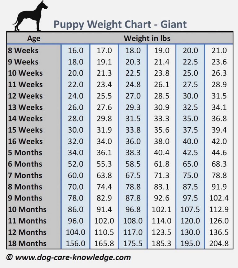 German Shepherd Weight Chart