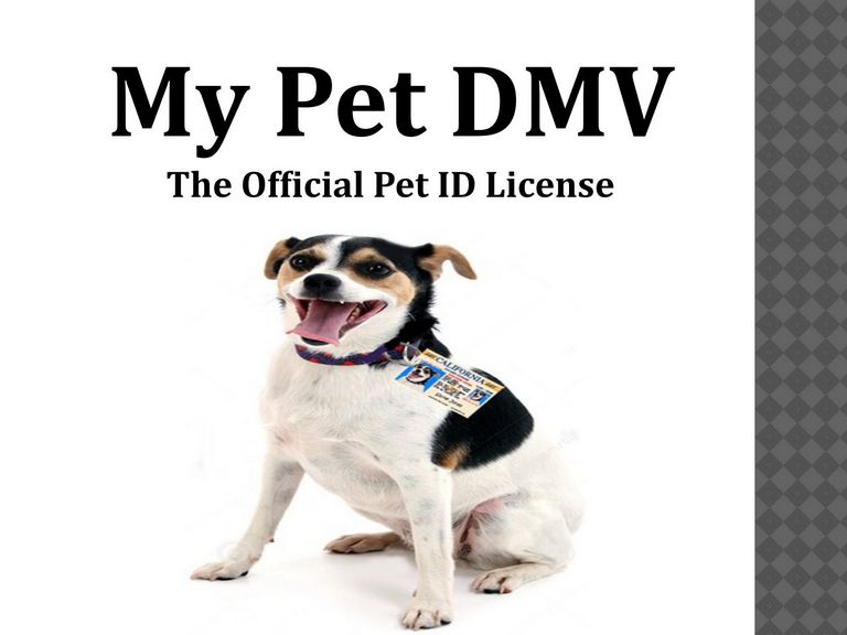 License Your Pet