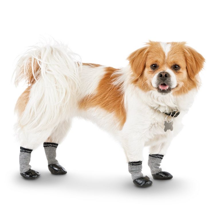 Non Slip Dog Socks Petco
