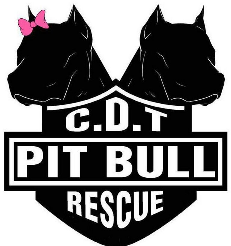 Pit Bull Rescue Groups