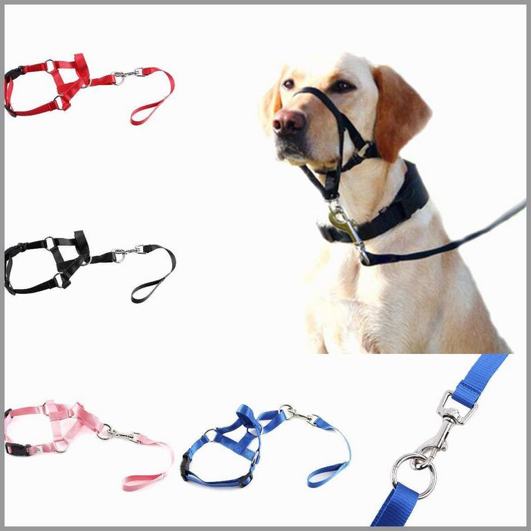 Prong Collar For Dogs That Pull