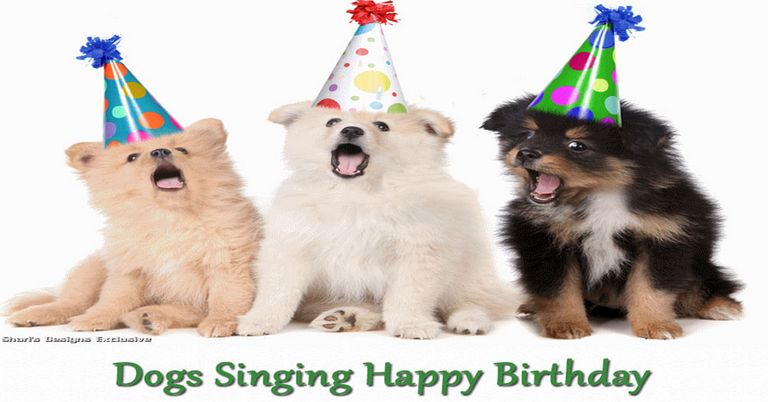 Puppy Singing Happy Birthday