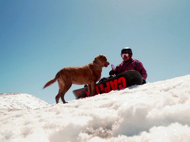 Rocky Mountain French Bulldog Rescue