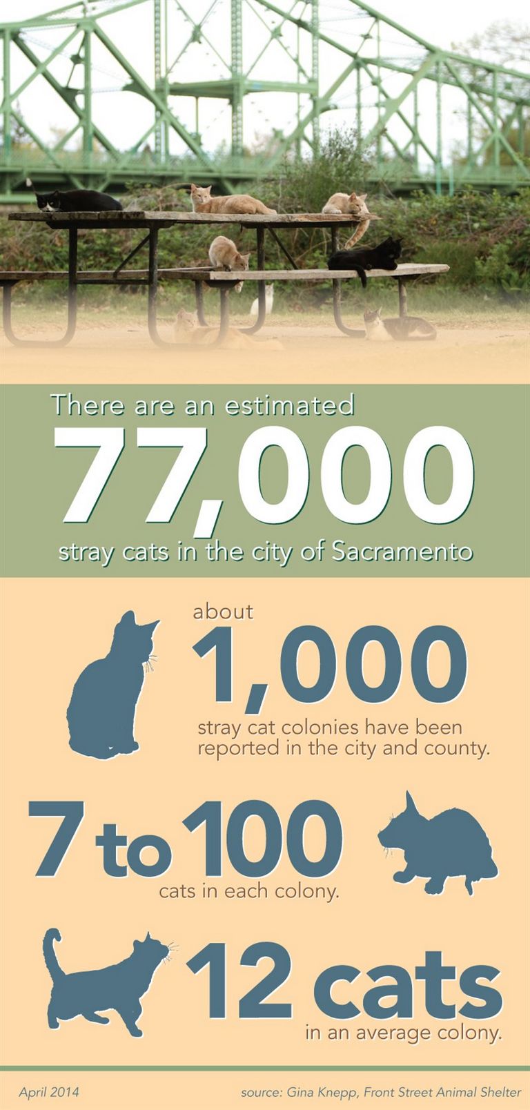 Sacramento Animal Shelter