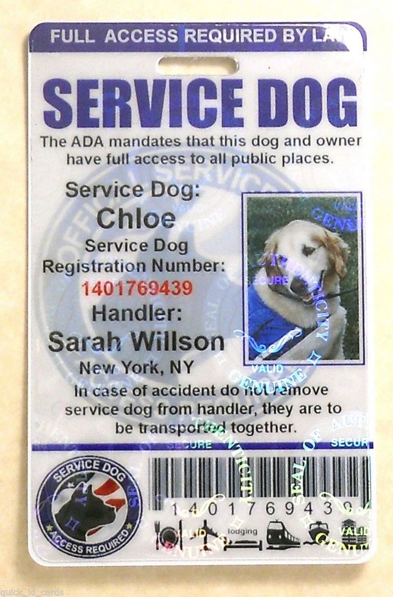 Service Dog Training Manual Pdf