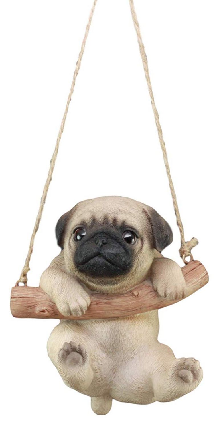 This is the teacup pug ..teacup pug is a moonshot for many dog lovers. 